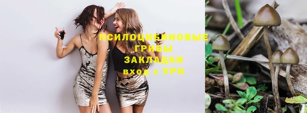 винт Абинск